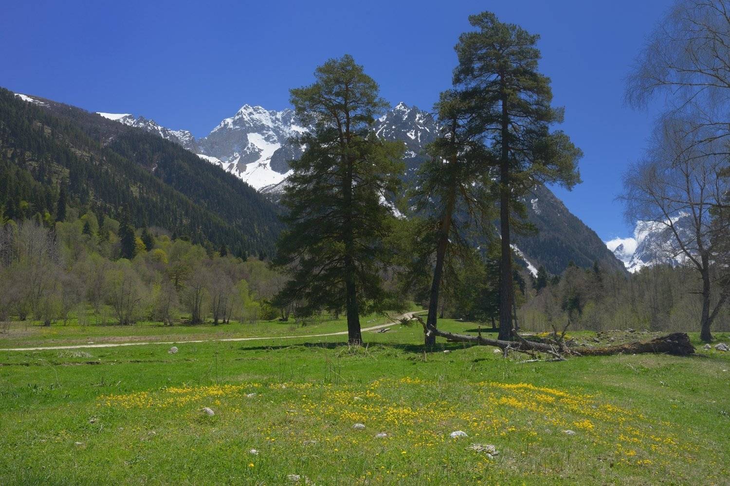 горы весна аксаут, Александр Жарников