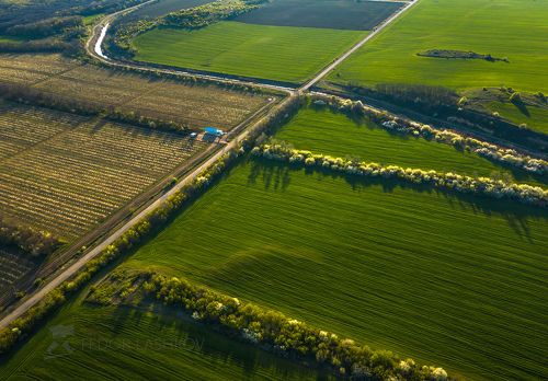 Графика полей