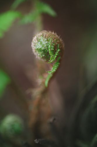 Geometry of the nature