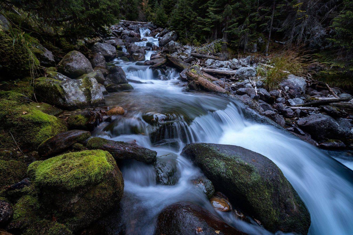 , Юрий Головченко