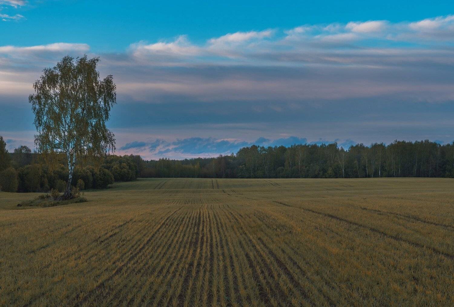 , Константин Дэм