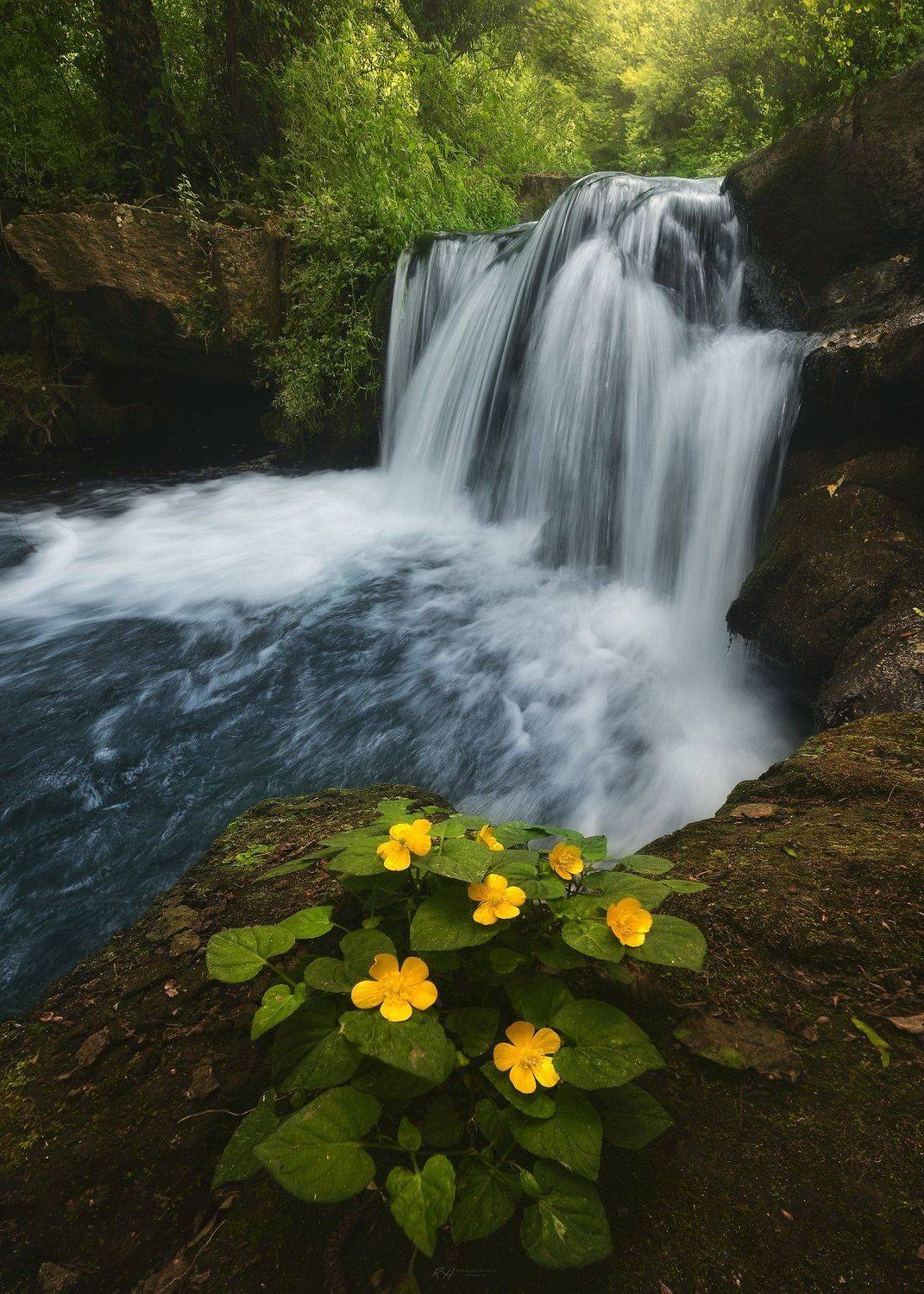#landscape #mountains #italy #forest #waterfall, Roksolyana Hilevych