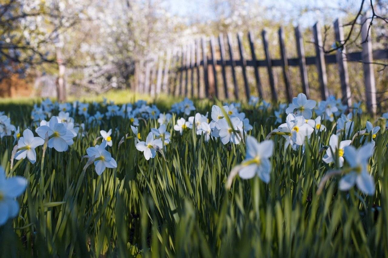 , Максим Филипов