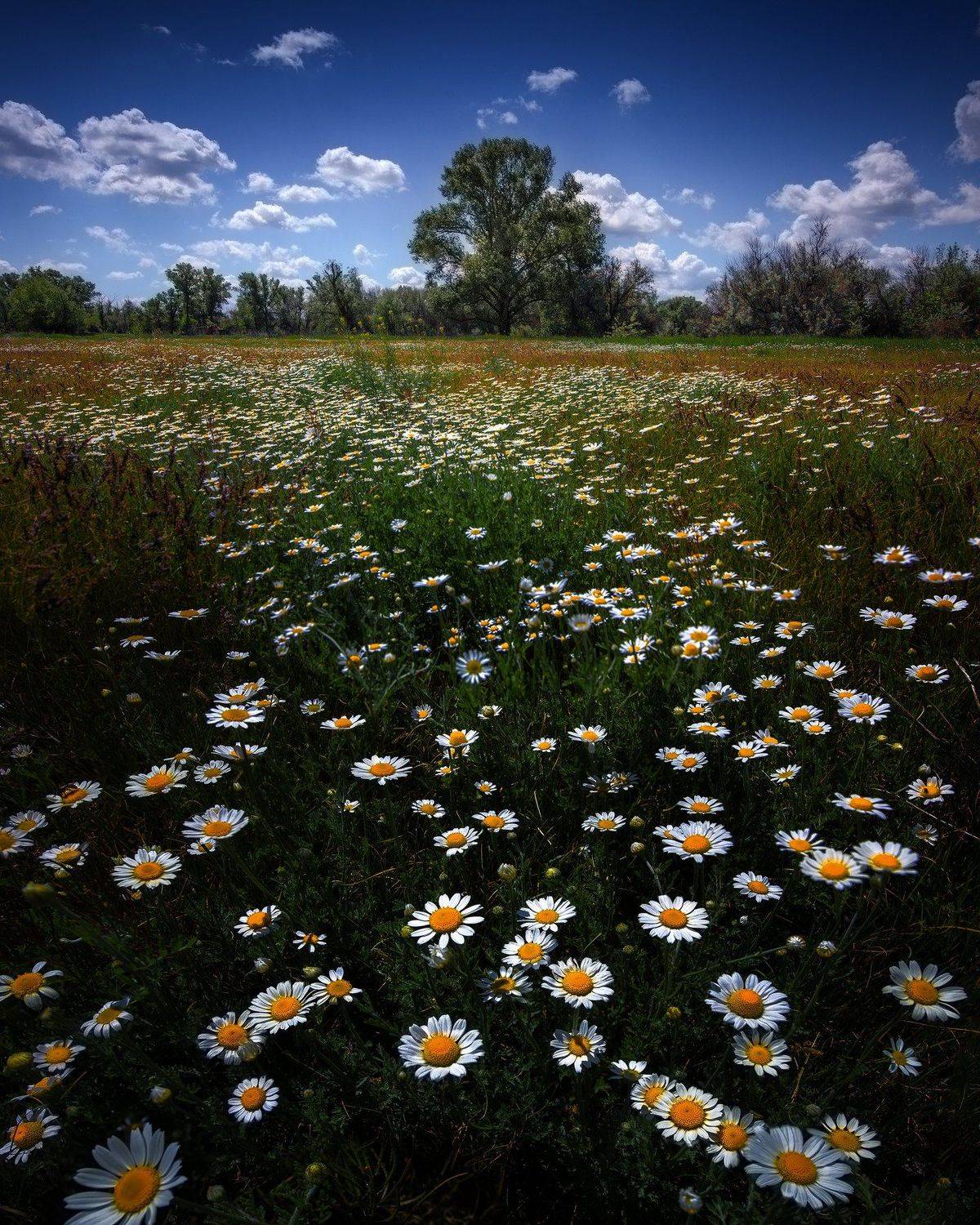 , Попрошаев Сергей