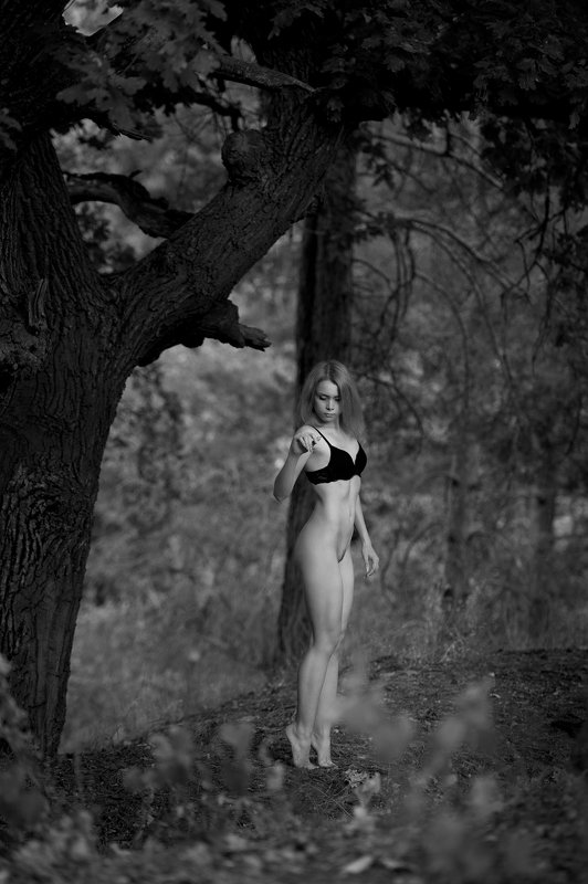 konstantin skomorokh константин скоморох kiev киев severodonetsk северодонецк ню art nude fine art ukraine Wood nymph. Part 2. фото превью