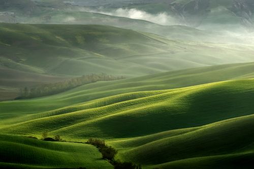 Tuscan light