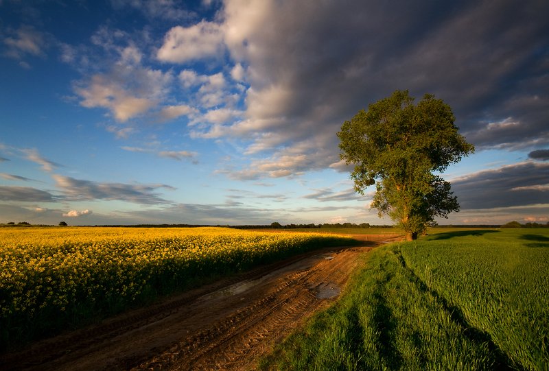 late afternoon... фото превью
