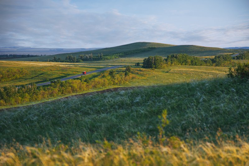 Доставка лета фото превью