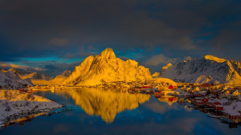 The golden light фото превью