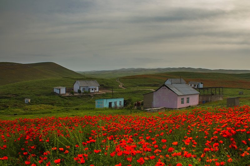 Балгалы 2020 фото превью