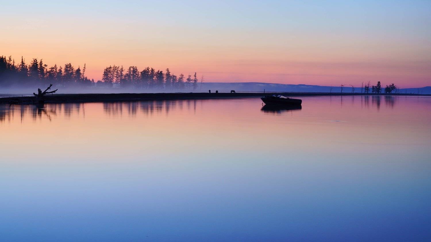 mongolia, hovsgol, lake, horses, mist, fog, morning. atmosphere, mood,, Shin