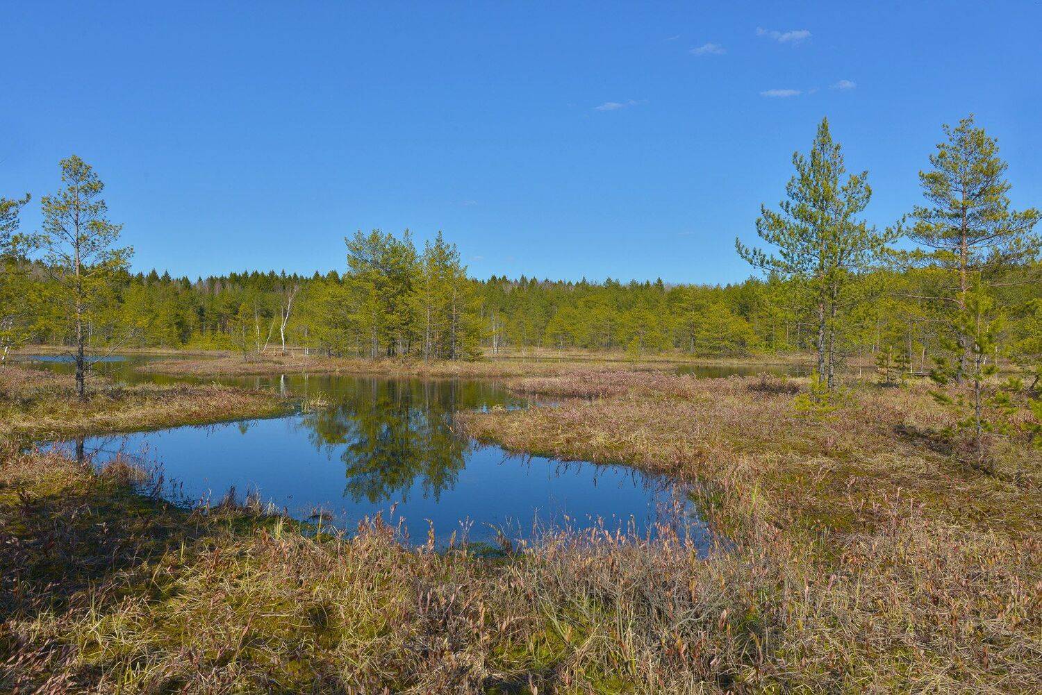 , Сергей Седов