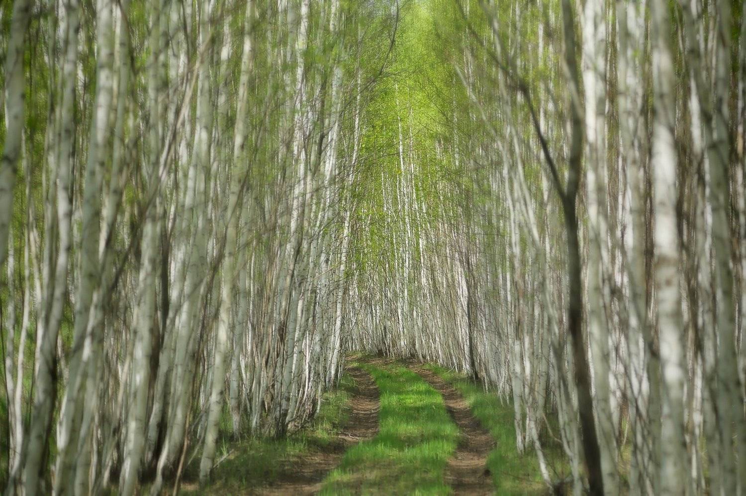 , Евгений Зинов