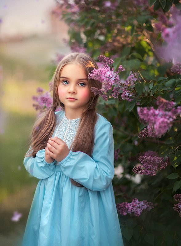 Сирень фото превью