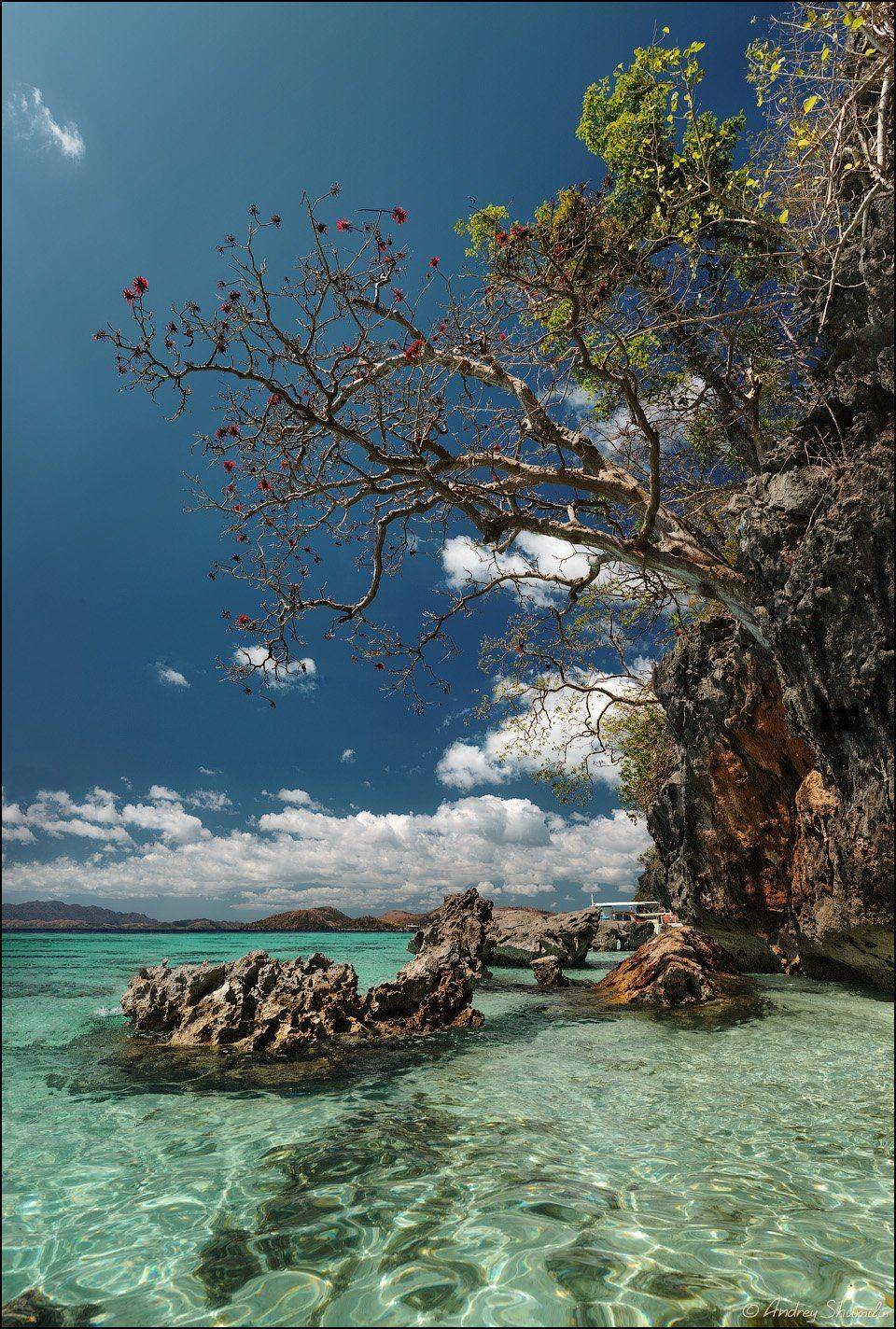 , Андрей Шумилин