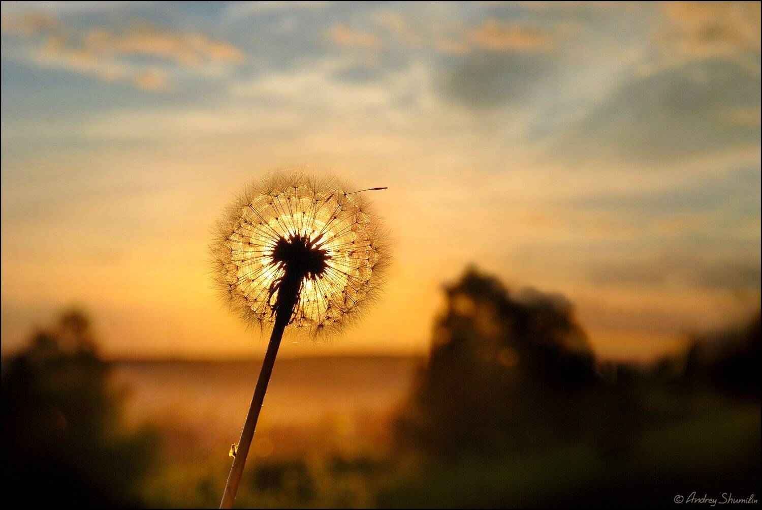 , Андрей Шумилин