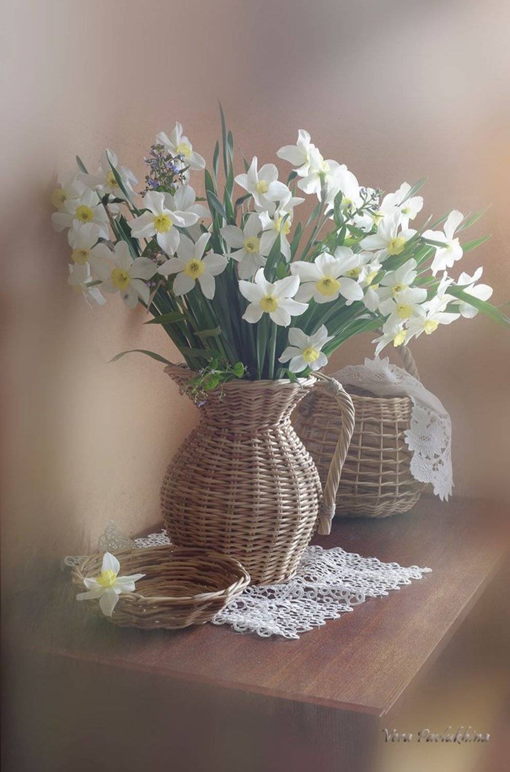 натюрморт,цветы,венсна,вера павлухина,, Вера  Павлухина