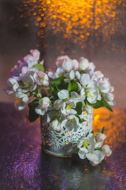 боке, натюрморт, фиолетовый, желтый, цветы,  красивый, блики, still life Цветная фото превью