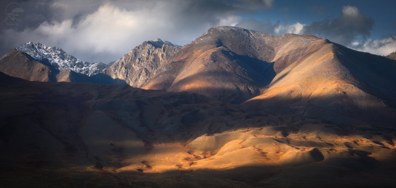 Светотени фото превью