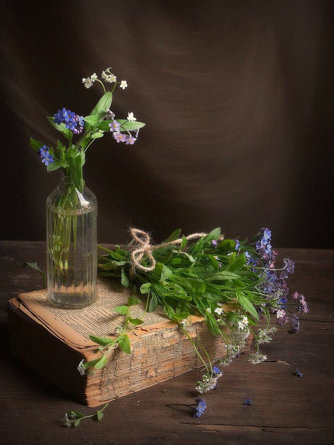 сергей алексеев, натюрморт, Сергей Алексеев