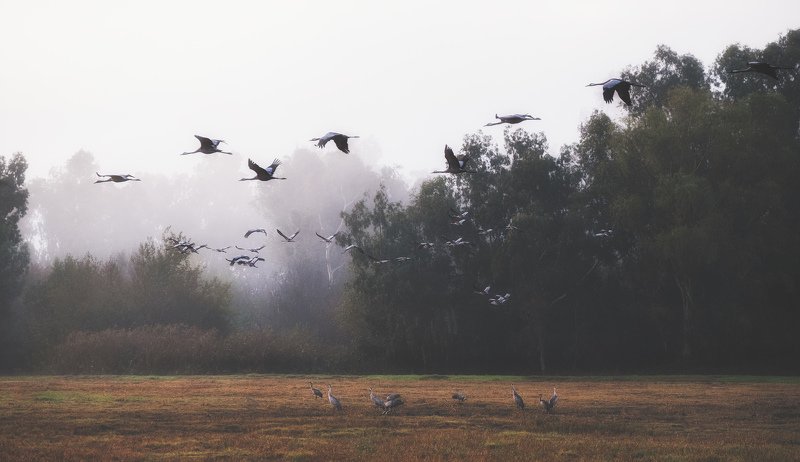 Foggy Key фото превью