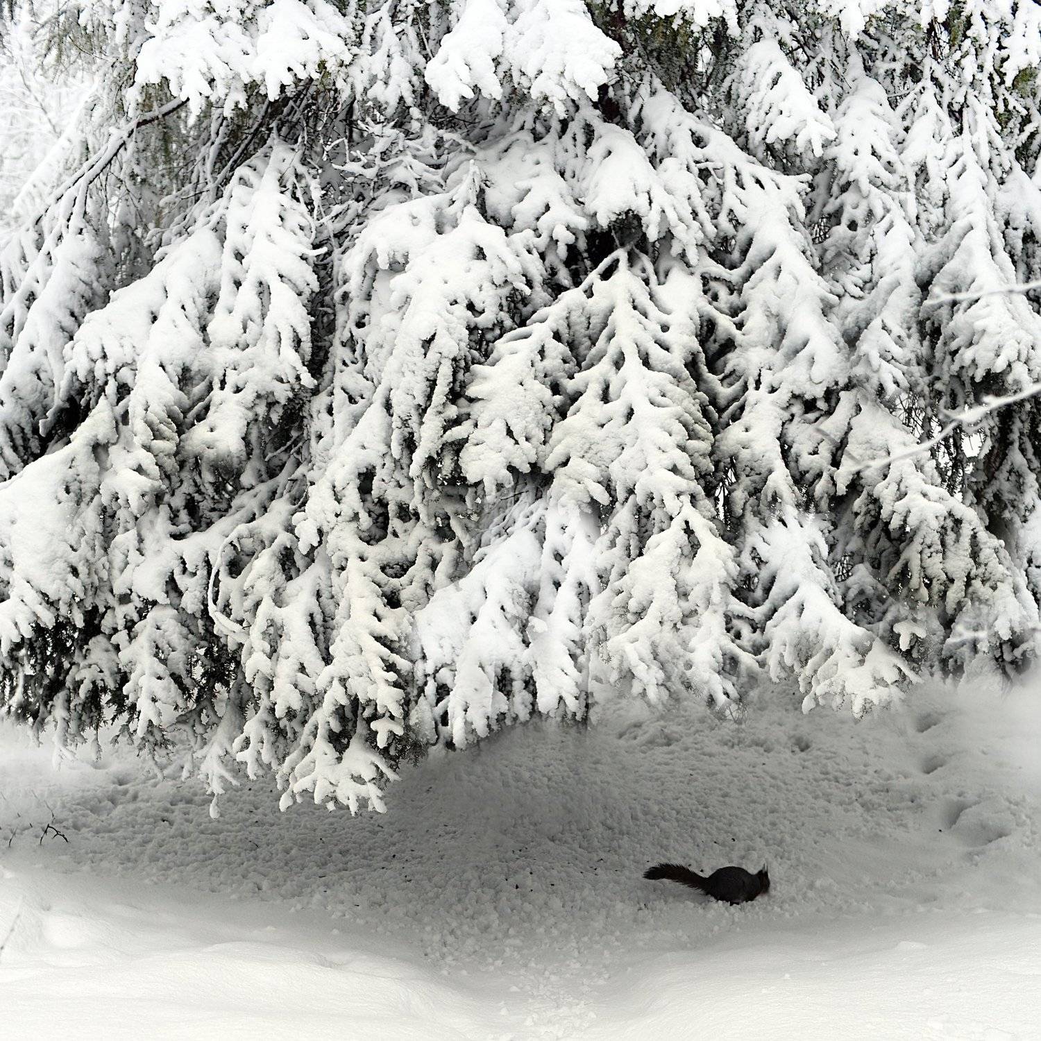 , Александр Иванович