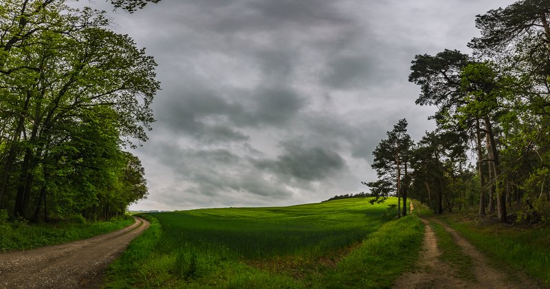 зарисовки из Гарца в пасмурный день фото превью