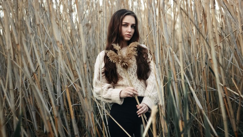 portret  фото превью