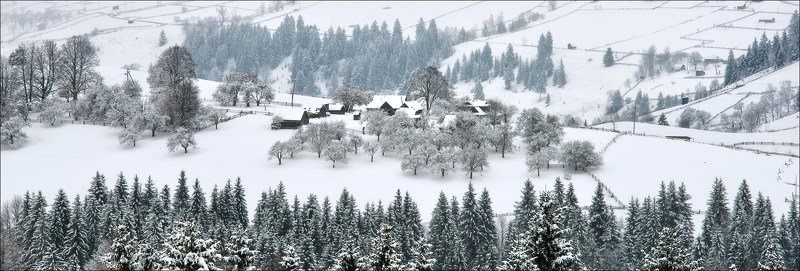 карпаты, , зима  фото превью