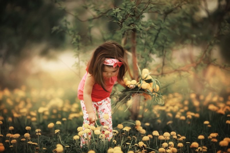 *** фото превью