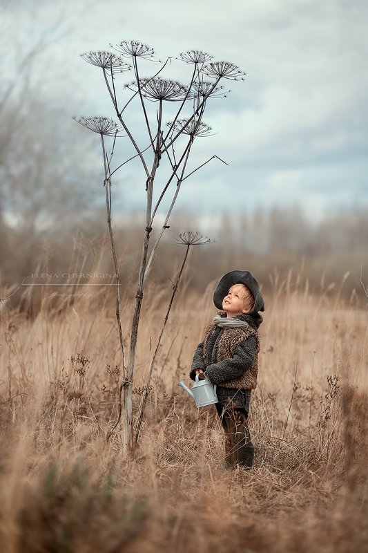 мальчик, дневной свет, дети, художественная фотография, фотосессия на природе, борщевик, улица, природа Маленький садовник фото превью