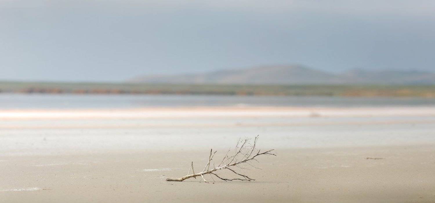 , Андрей Гусаченко