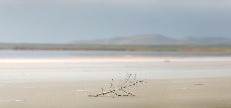 солёные перспективы фото превью