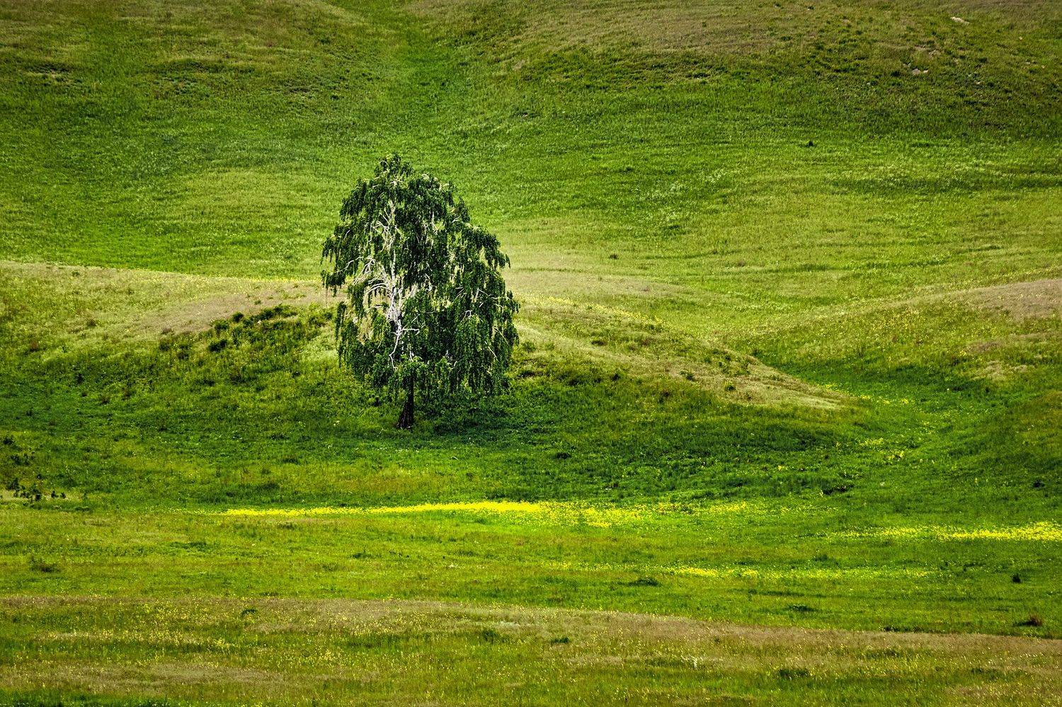 южный урал,оренбургская область, орск, новотроицк,, Качурин Алексей
