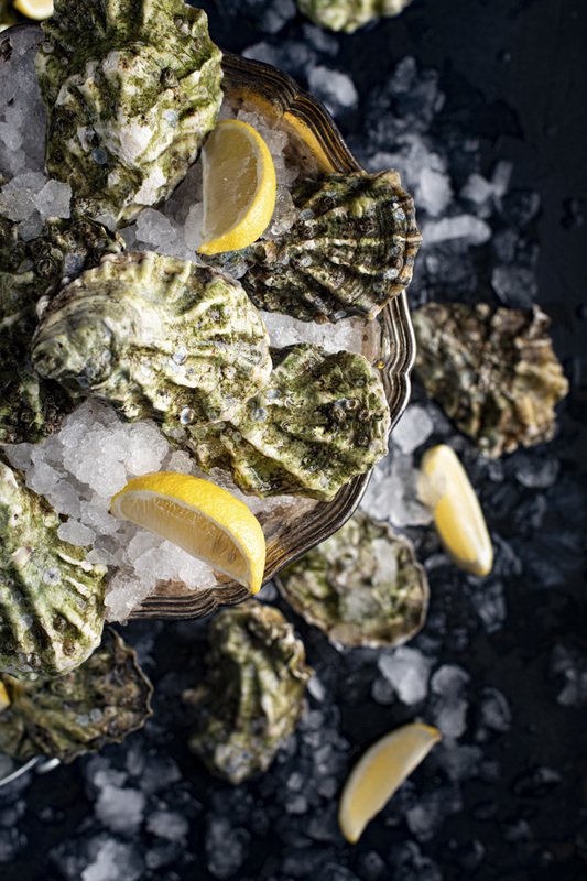 food photography fresh oysters seafood raw foodie still life flatlay Oysters фото превью