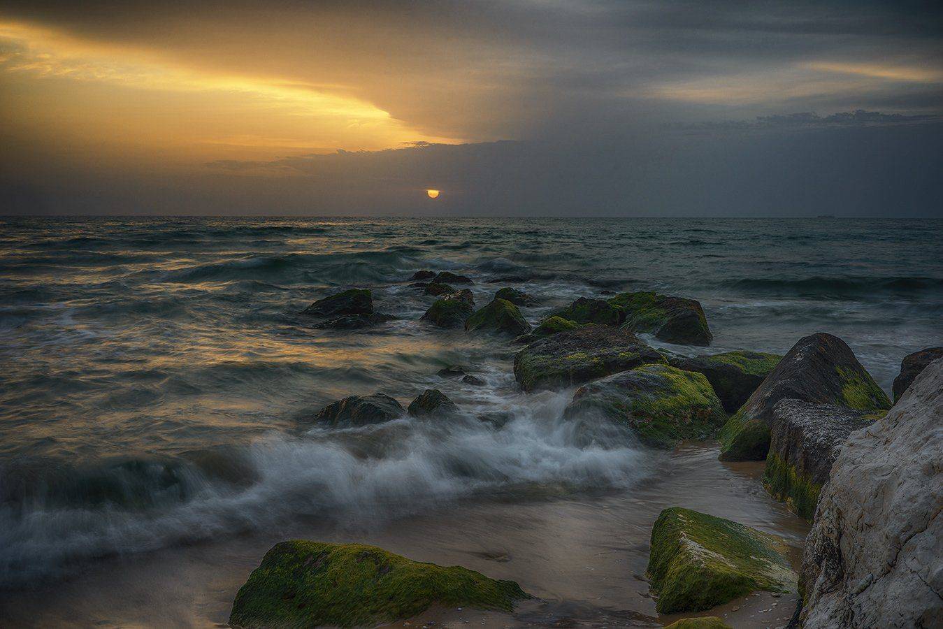 , David Solodar