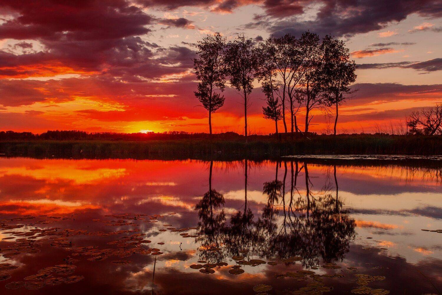 , Павел Сагайдак