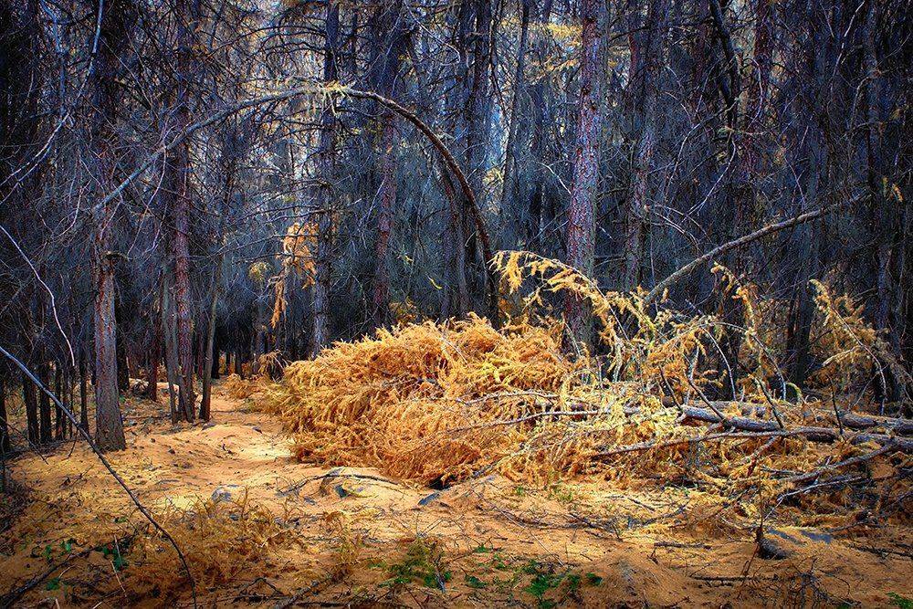 кыргызстан, горы, Элина Магалимова