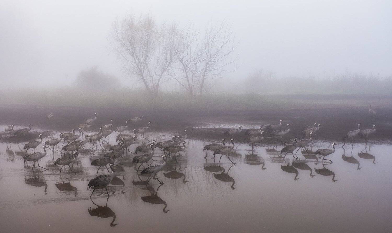 , Григорий Крамаренко