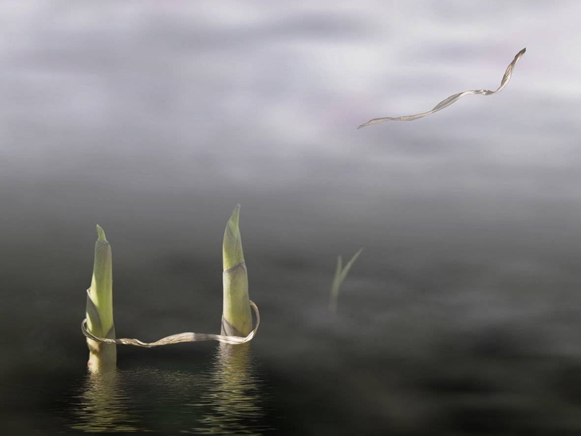 , T. Bondarenko