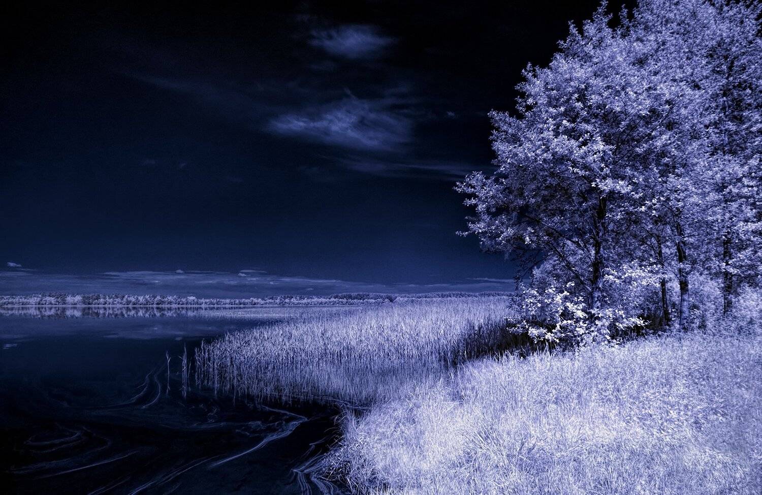 infrared,ик-фото,инфракрасное фото, инфракрасная фотография, пейзаж, лето, Sixten ( Сергей )