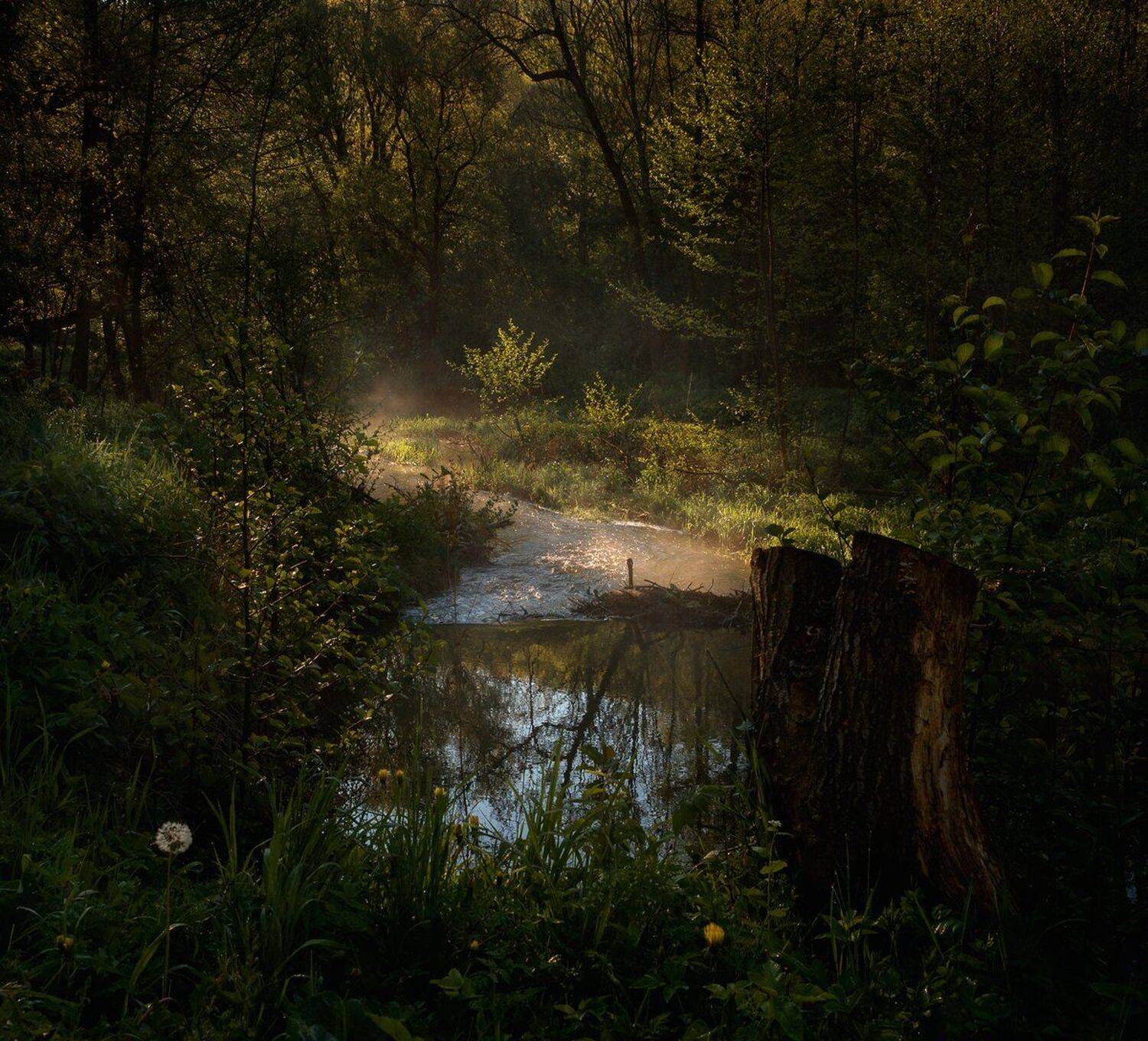 , Баранов Олег