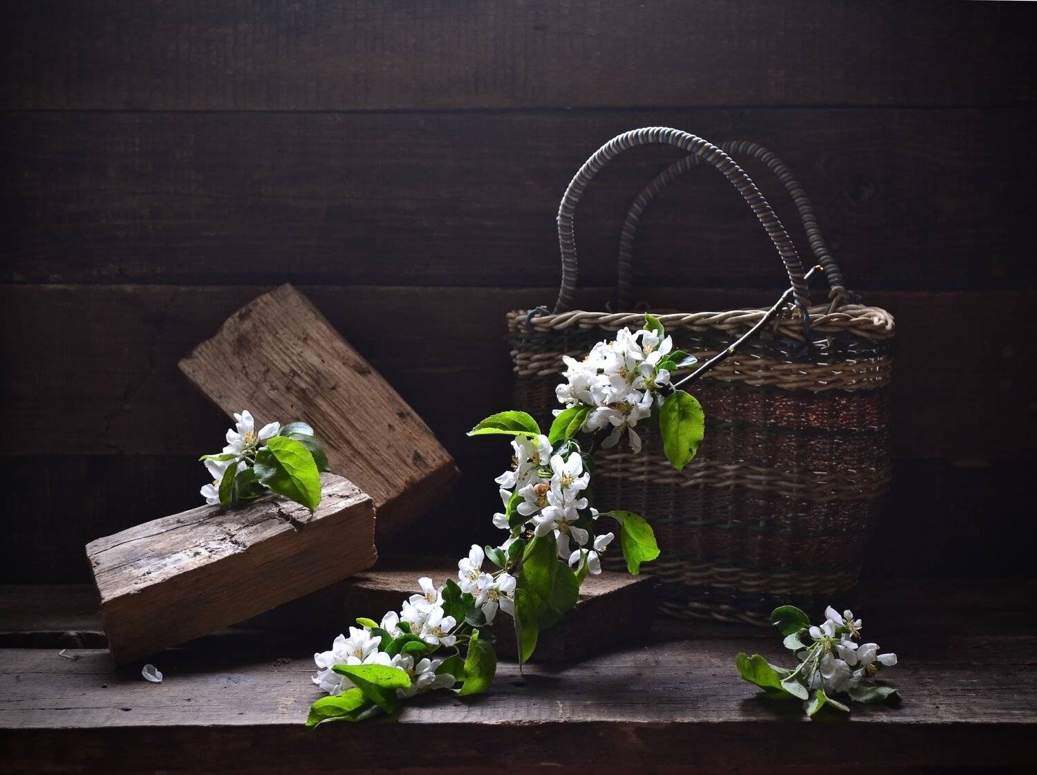 , Оксана Евкодимова