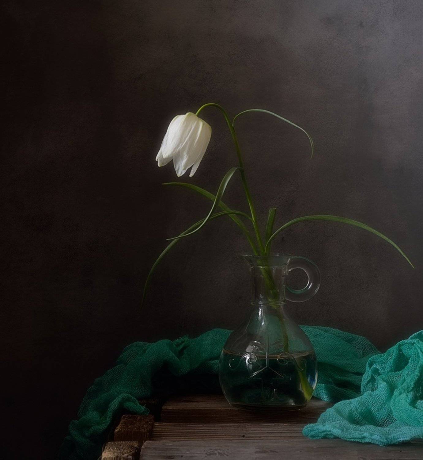 натюрморт,рябчик,цветы,весна,  Наталия К