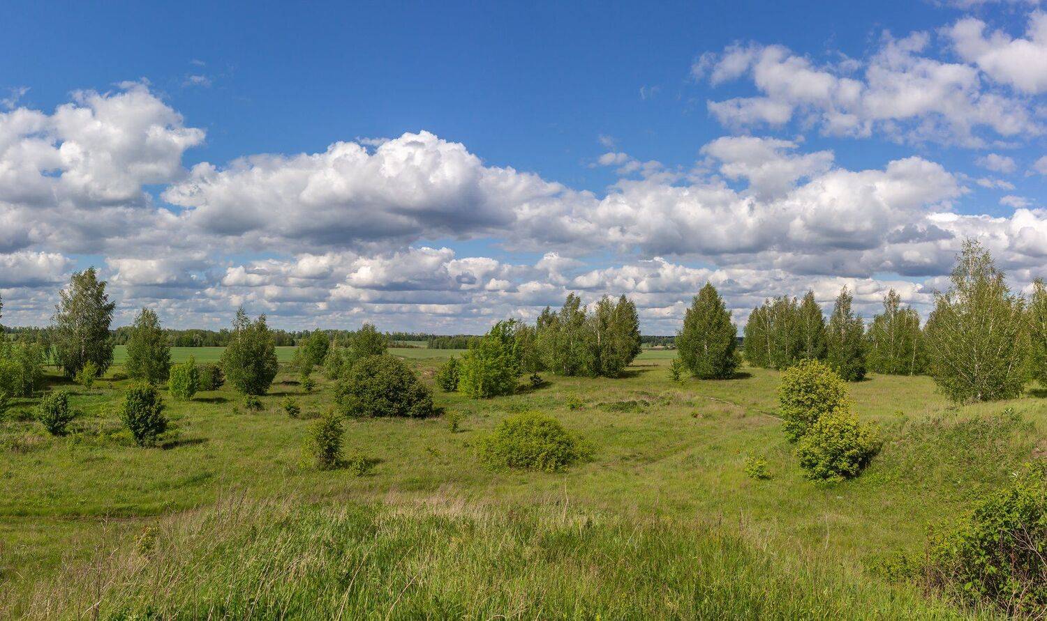 весна, пейзаж, Руслан Востриков