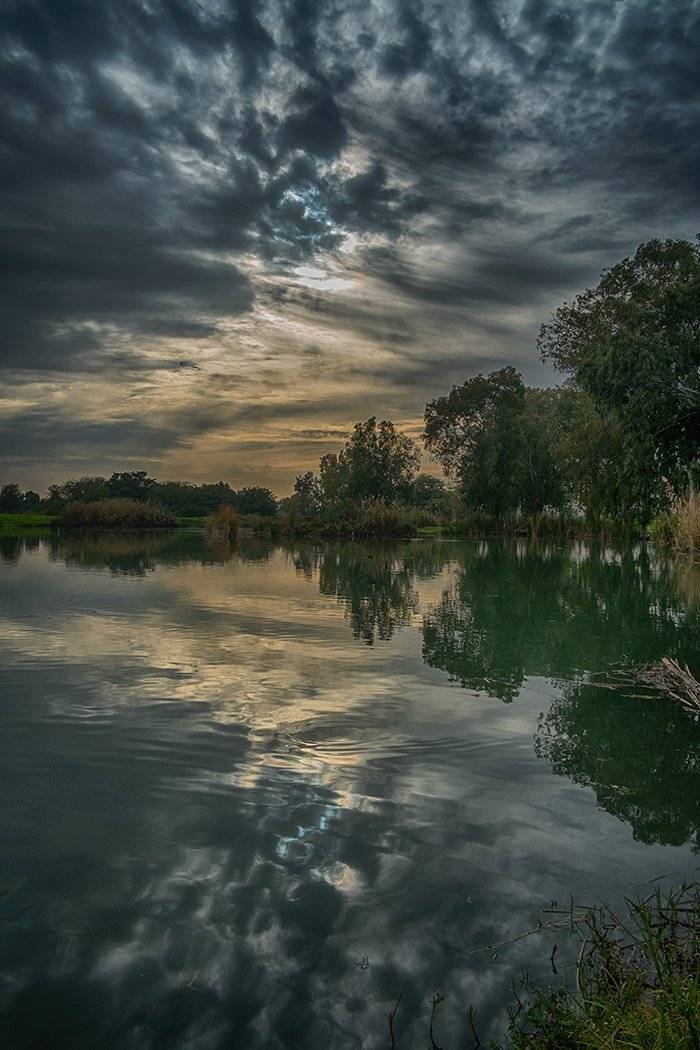 , David Solodar