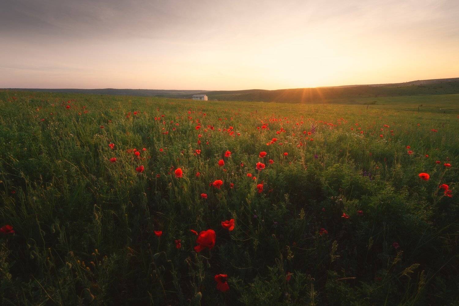 , Oleg Feofanov