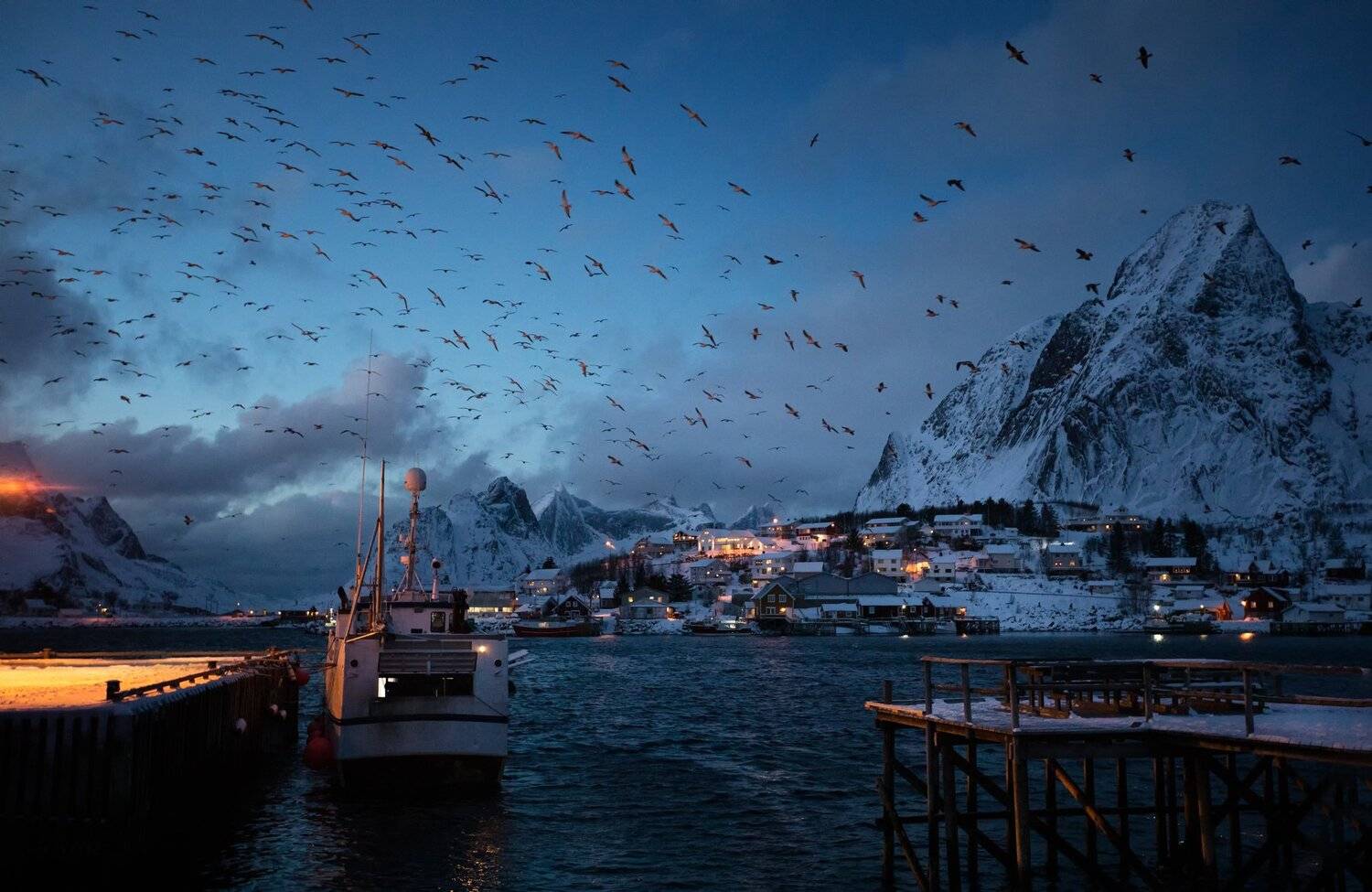 lofoten, night, birds, ship, Vladimir Karamazov