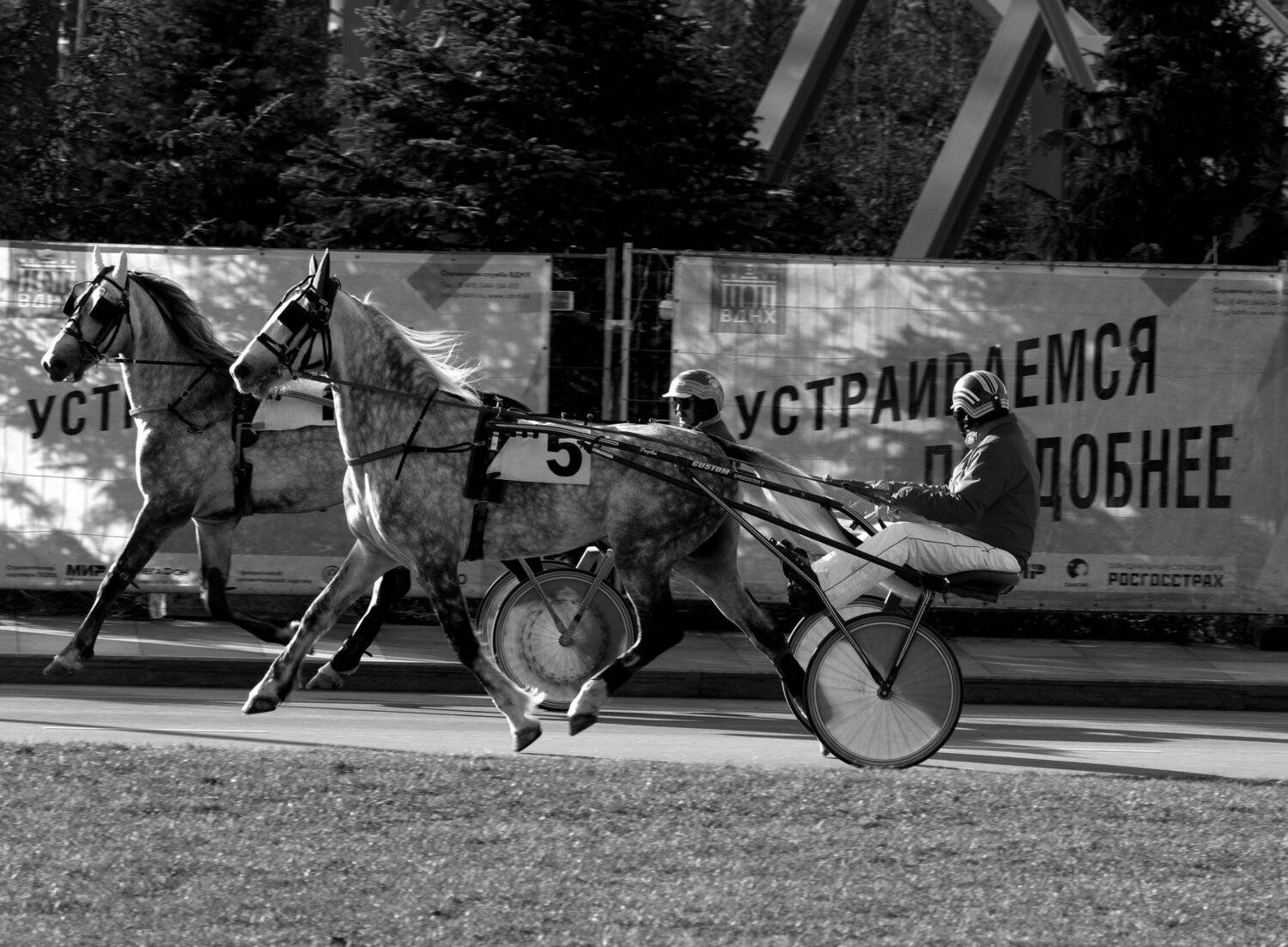 бега, ипподром, кони, лошади, жокеи, удобство, сиденье, Дмитрий Ткаченко
