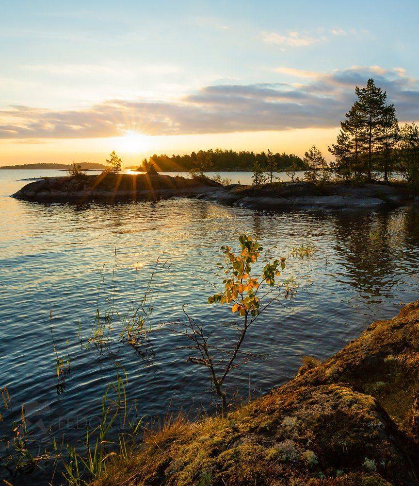 ладожское озеро, карелия, шхеры, лето, остров, берег, вода, рассвет, плавание, путешествие, сосна, берёза, облака, солнце, отражение,, Лашков Фёдор